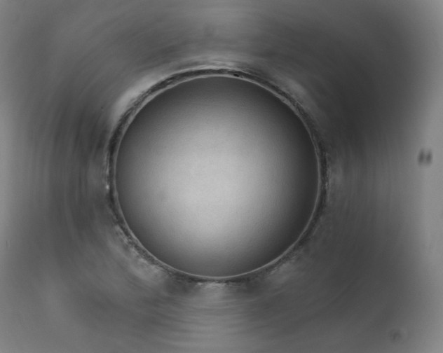 X0000111801172200907231203