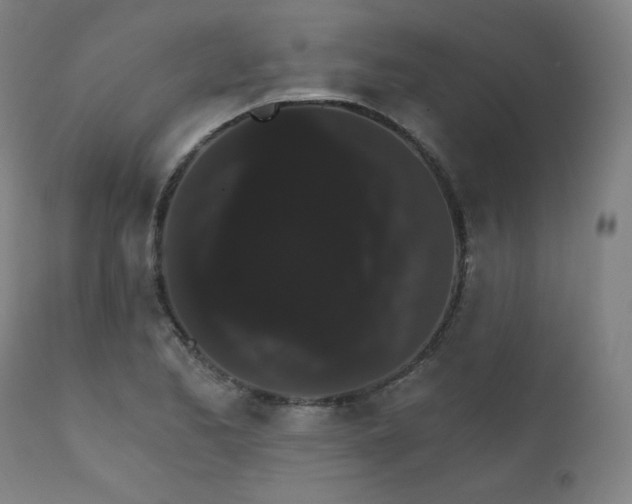X0000111801173200907231203