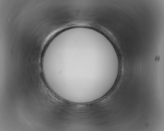 X0000111801174200907231203