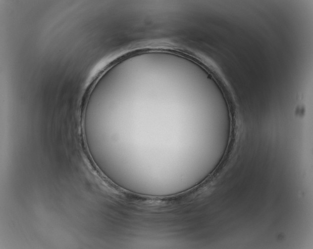 X0000111801176200907231203