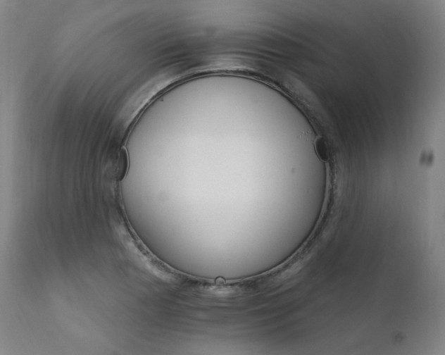 X0000111801177200907231203