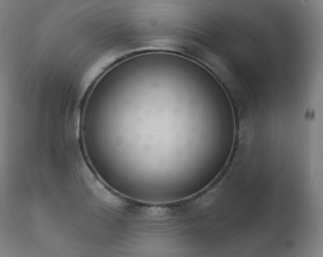 X0000111801180200907231203