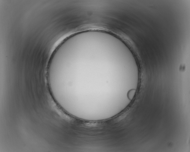 X0000111801182200907231203