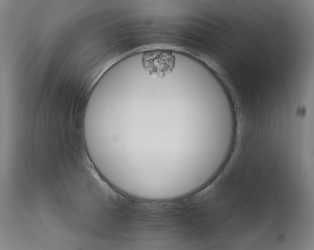 X0000111801185200907231203