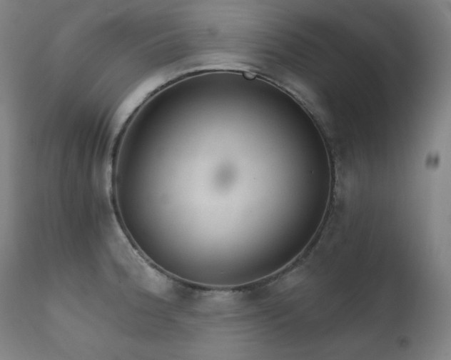 X0000111801188200907231203
