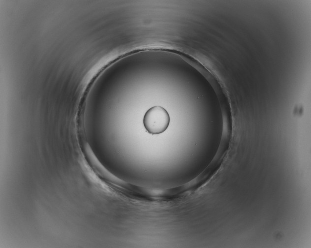 X0000111801189200907231203