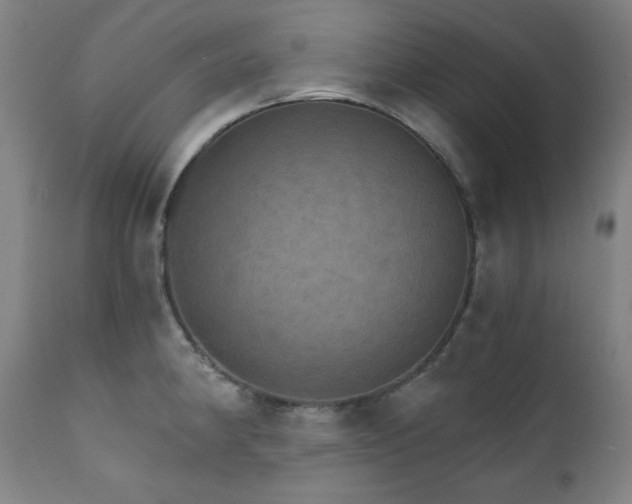 X0000111801190200907231203