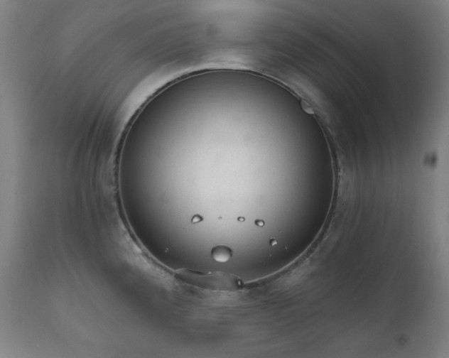 X0000111801192200907231203