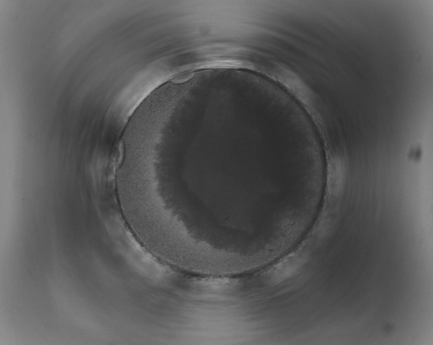 X0000111801193200907231203