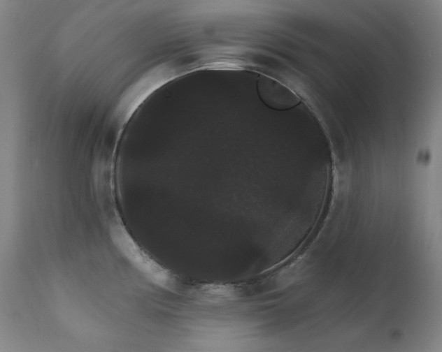 X0000111801194200907231203