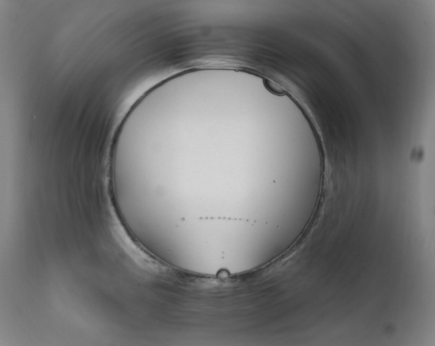 X0000111801195200907231203