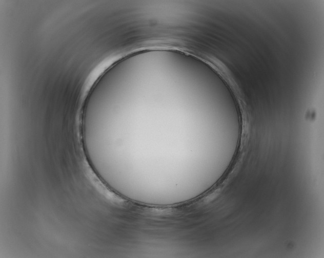 X0000111801196200907231203