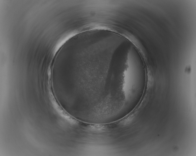 X0000111801198200907231202