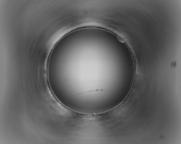 X0000111801199200907231202