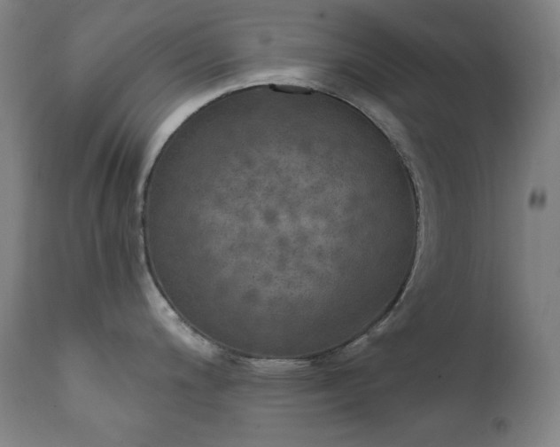 X0000111801200200907231202