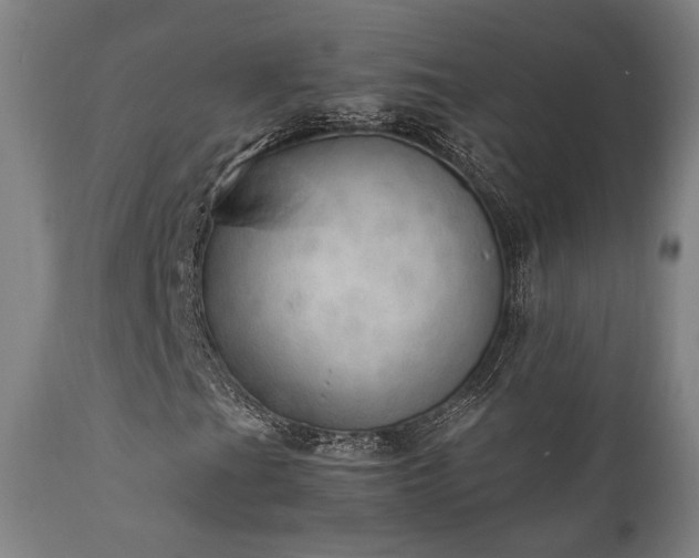 X0000111801201200907231202