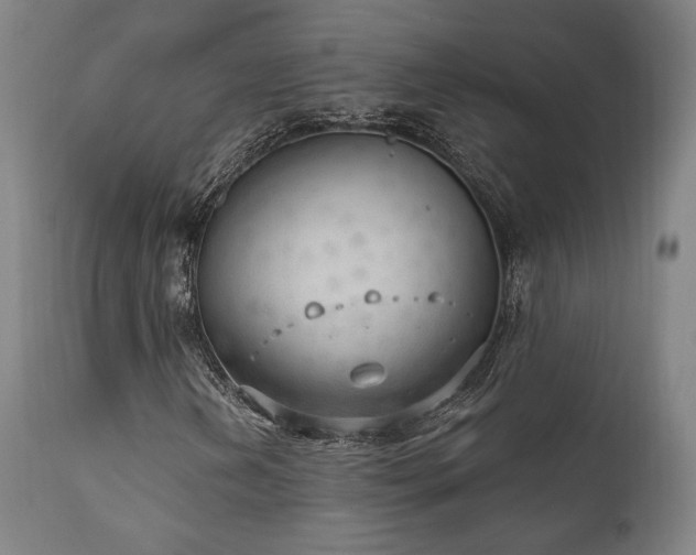 X0000111801202200907231202
