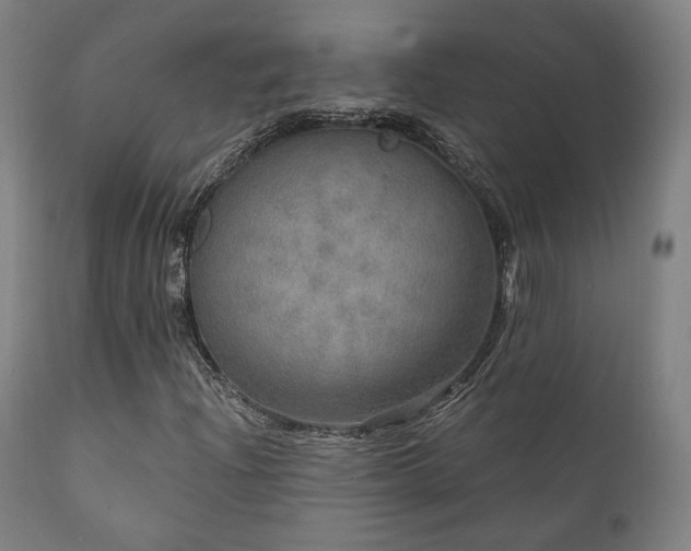 X0000111801204200907231202