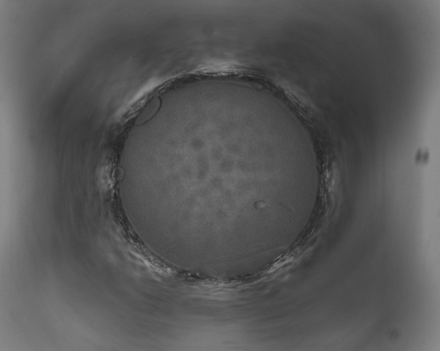 X0000111801206200907231202