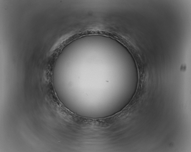 X0000111801207200907231202