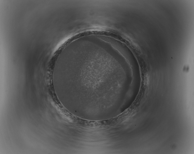 X0000111801208200907231202