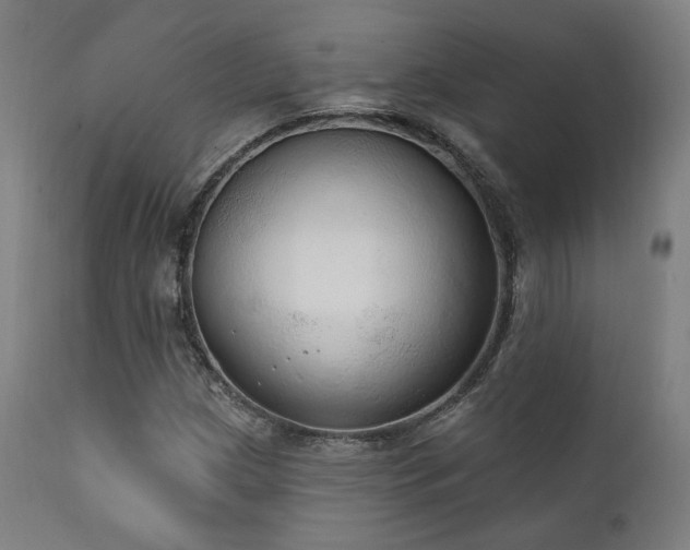 X0000111801209200907231202