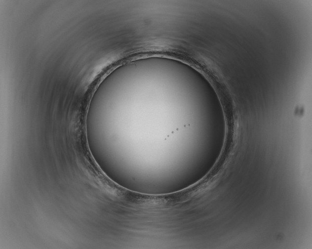 X0000111801210200907231202