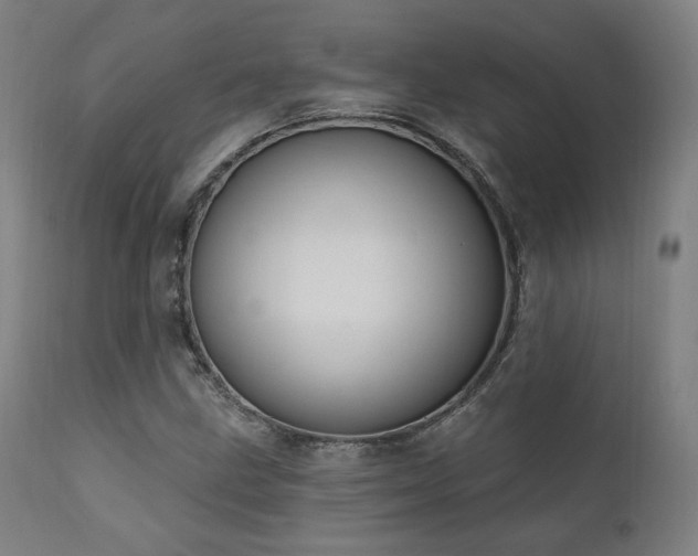 X0000111801211200907231202