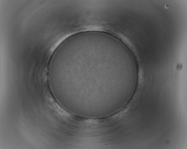 X0000111801212200907231202