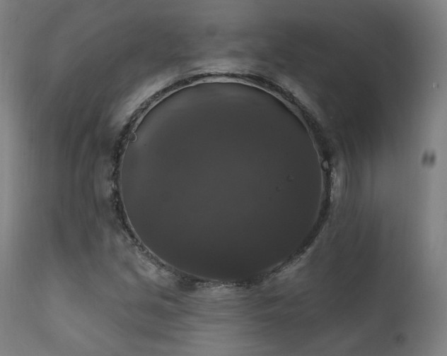 X0000111801213200907231202
