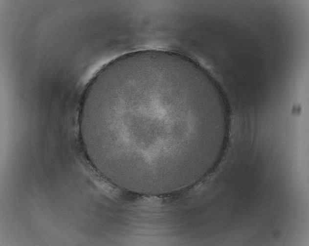X0000111801214200907231202