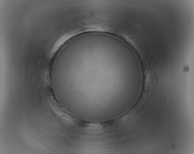 X0000111801215200907231202