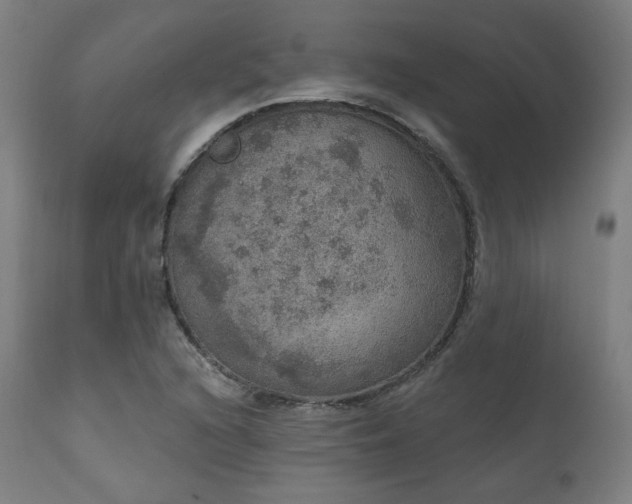 X0000111801216200907231202