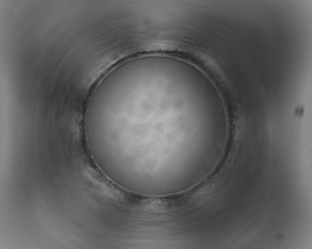 X0000111801217200907231202