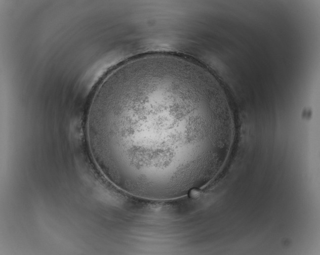 X0000111801218200907231202