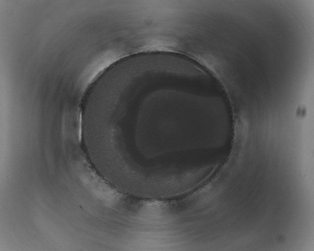 X0000111801219200907231202