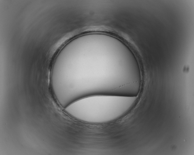 X0000111801221200907231202