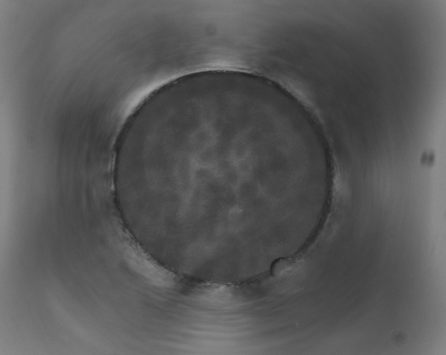 X0000111801222200907231202
