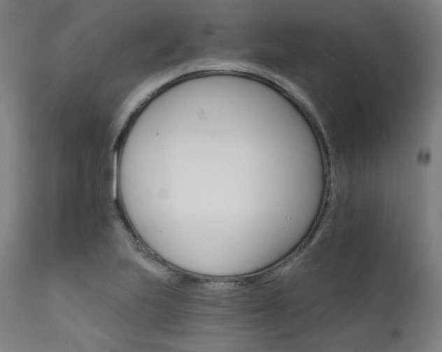 X0000111801223200907231202