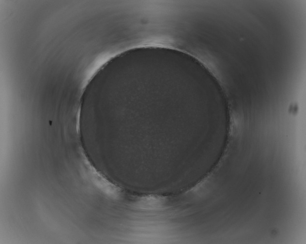 X0000111801224200907231202