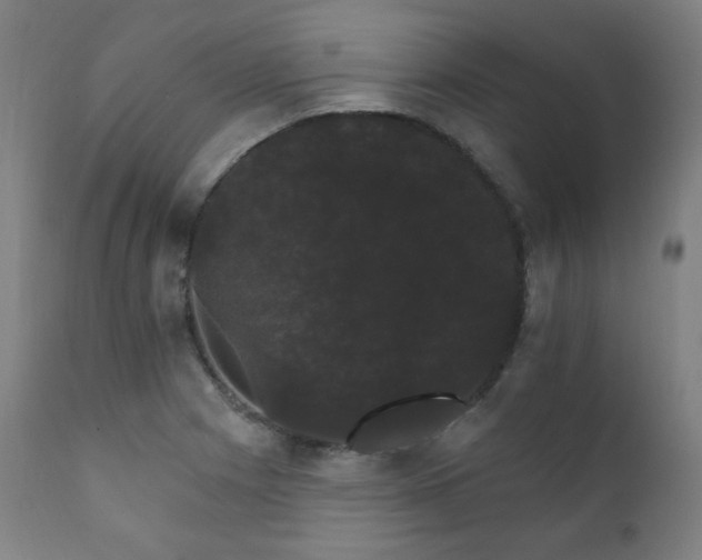 X0000111801225200907231202