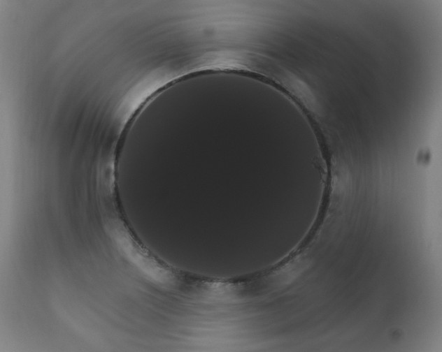 X0000111801226200907231202