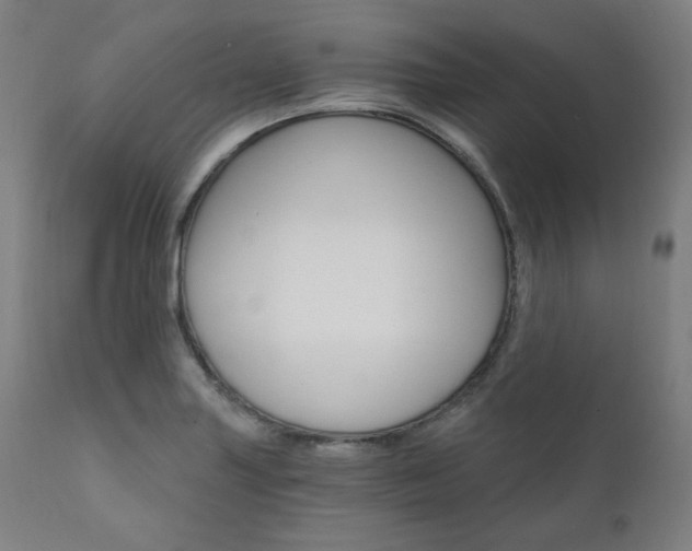 X0000111801227200907231202