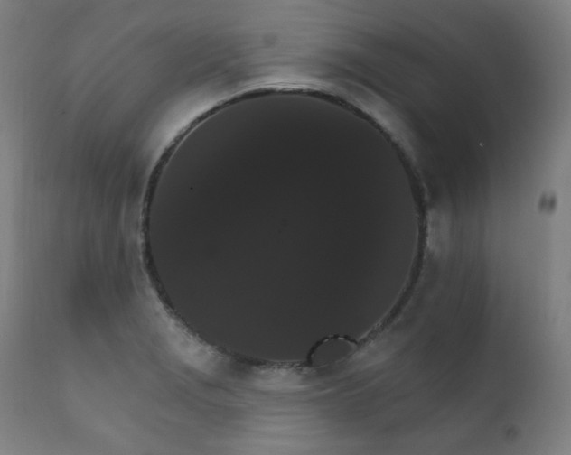 X0000111801229200907231202