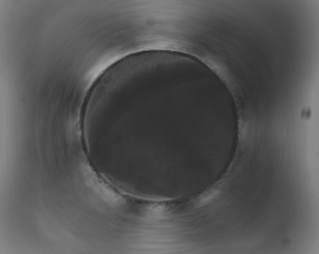 X0000111801230200907231202