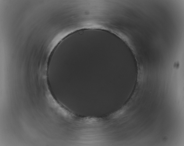 X0000111801231200907231202