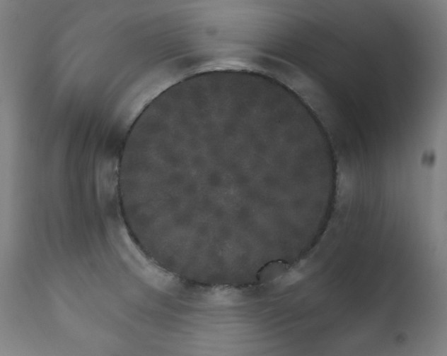 X0000111801233200907231202