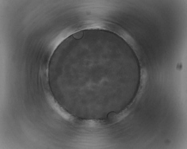 X0000111801234200907231202