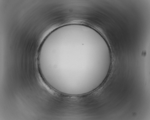 X0000111801235200907231202