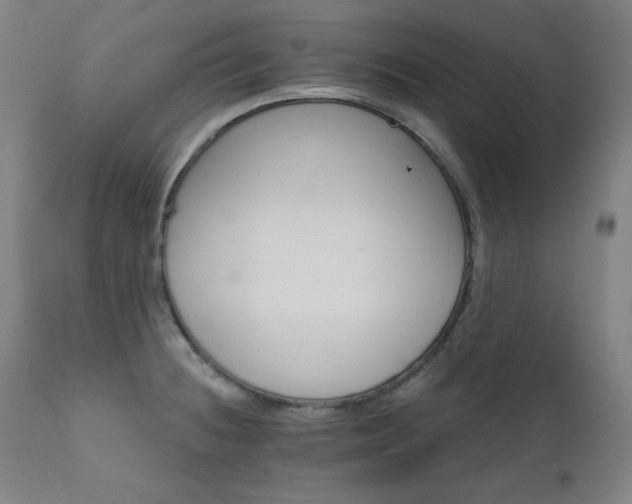 X0000111801236200907231202